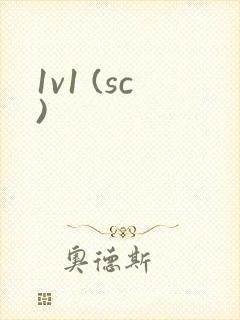 1v1 (sc)封面