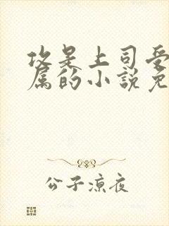 攻是上司受是下属的小说免费阅读