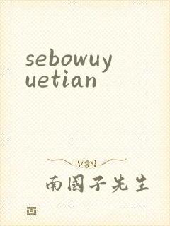 sebowuyuetian封面