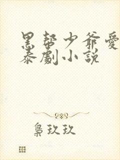 黑帮少爷爱上我泰剧小说封面
