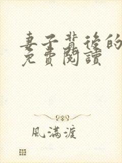 妻子背后的秘密免费阅读