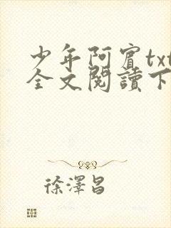 少年阿宾txt全文阅读下载