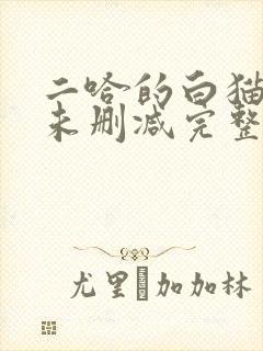 二哈的白猫师尊未删减完整版小说