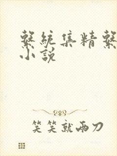 系统集精系统 小说封面