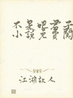 不是吧君子也防小说免费阅读