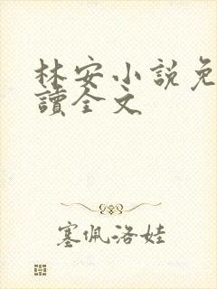 林安小说免费阅读全文