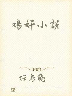 鸡奸小说封面