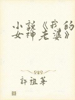 小说《我的绝美女神老婆》
