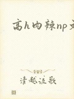高h肉辣np文