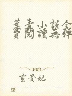 叶青小说全文免费阅读无弹窗封面