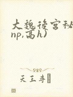 大魏后宫秘史(np,高h)