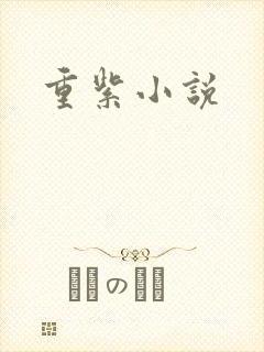 重紫小说