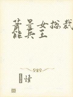 萧晨女总裁的全能兵王