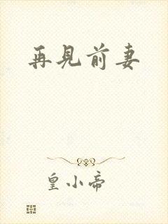 再见前妻