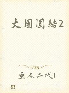 大团圆结2