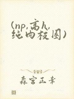 (np,高h,纯肉校园)