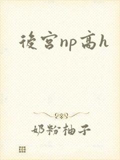 后宫np高h