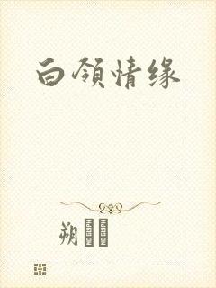 白领情缘封面