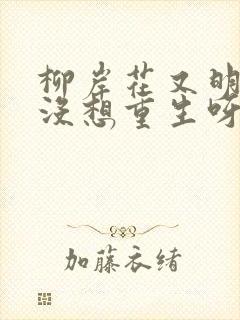 柳岸花又明我真没想重生呀