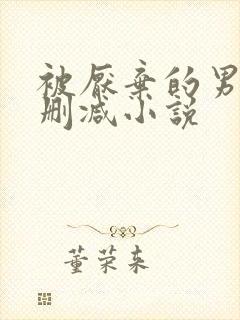 被厌弃的男妻无删减小说封面