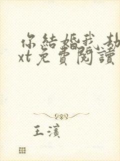 你结婚我劫婚txt免费阅读