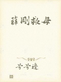 薛刚救母