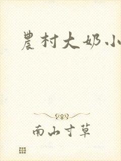 农村大奶小说封面