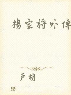 杨家将外传