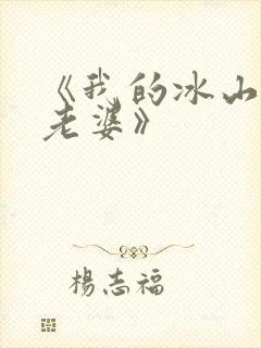 《我的冰山美女老婆》封面