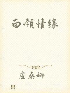 白领情缘