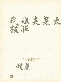 我姐夫是太子精校版