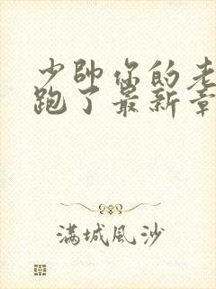 少帅你的老婆又跑了最新章节免费阅读