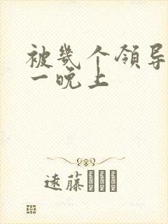 被几个领导玩弄一晚上