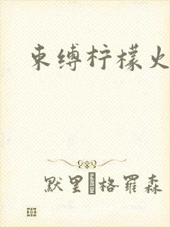 束缚柠檬火焰