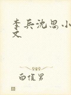 李兵沈思小说全文