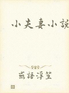 小夫妻小说