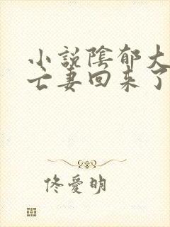 小说阴郁大佬的亡妻回来了免费阅读封面