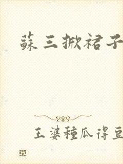 苏三掀裙子
