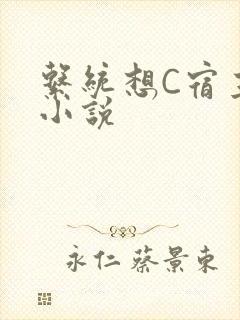 系统想C宿主的小说封面