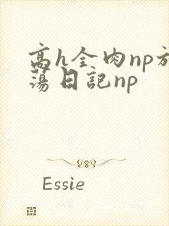 高h全肉np放荡日记np