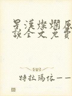 星汉灿烂原著小说全文免费阅读