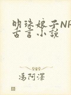 明珠娘子NPC古言小说