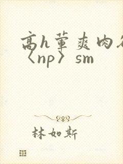 高h荤爽肉欲文〈np〉sm