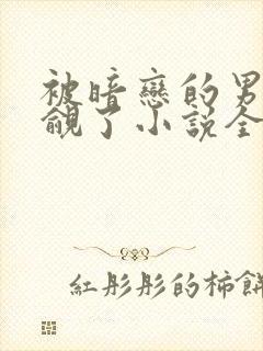 被暗恋的男神觊觎了小说全文阅读封面