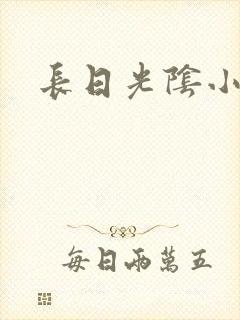 长日光阴小说