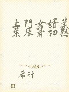 上门女婿叶辰 叶辰萧初然531