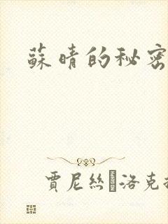 苏晴的秘密小说