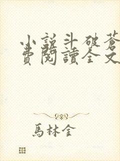 小说斗破苍穹免费阅读全文无窗口