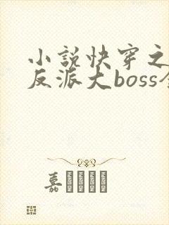 小说快穿之杠上反派大boss全文免费阅读