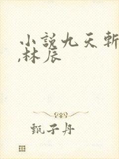 小说九天斩神诀,林辰封面